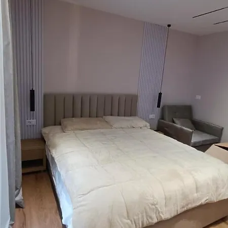 公寓 Henry's 地拉那