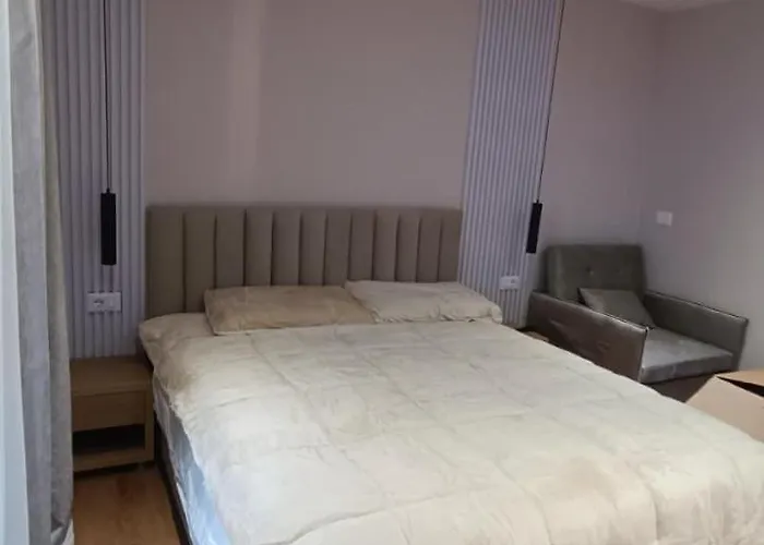 公寓 Henry's 地拉那