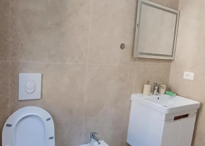 公寓 Henry's 地拉那